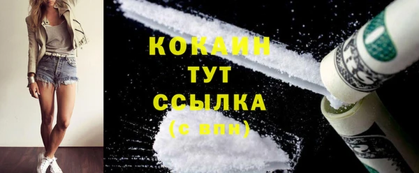 прущий лед Горняк