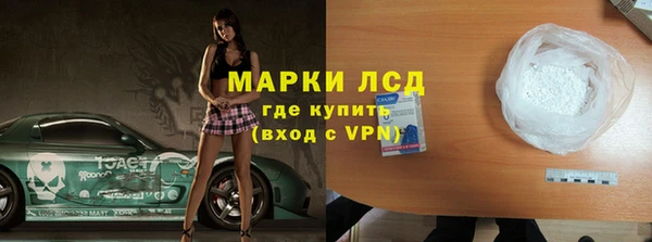 прущие грибы Горнозаводск