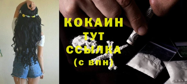 прущий лед Горняк