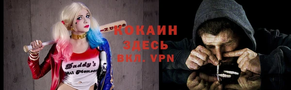 твердый Вязники