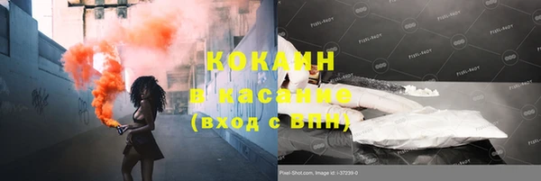 прущие грибы Горнозаводск