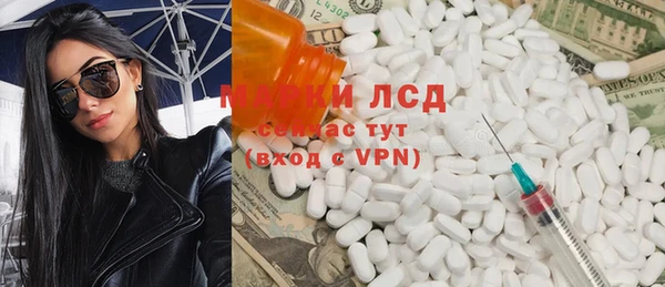 прущие грибы Горнозаводск