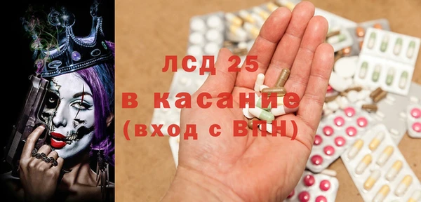 прущие грибы Горнозаводск