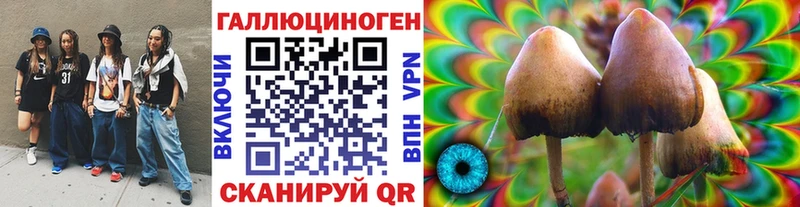 Галлюциногенные грибы Cubensis Татарск