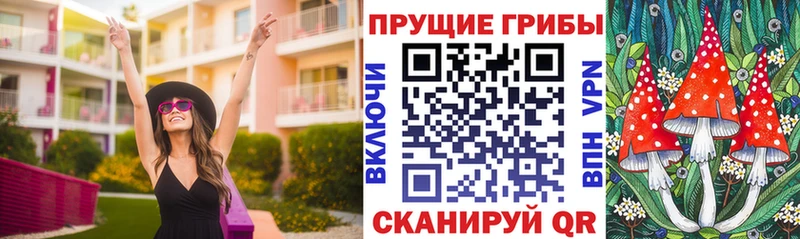 Псилоцибиновые грибы прущие грибы  Купить  Татарск 